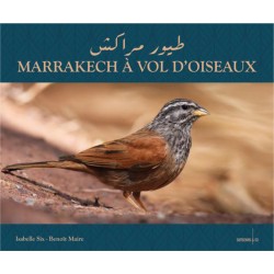 Marrakech à vol d'oiseaux